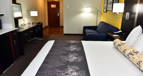 Imagen de la habitación del Hotel Best Western Plus Fairburn Atlanta Southwest. Foto 8