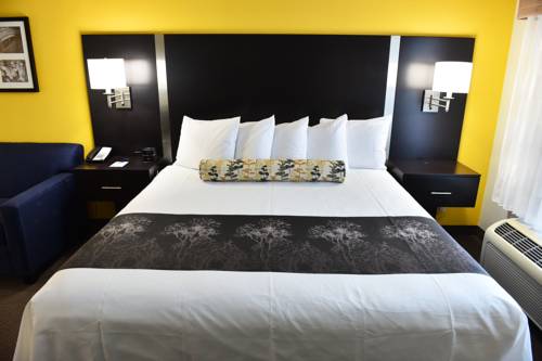 Imagen de la habitación del Hotel Best Western Plus Fairburn Atlanta Southwest. Foto 9