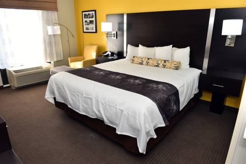 Imagen de la habitación del Hotel Best Western Plus Fairburn Atlanta Southwest. Foto 11