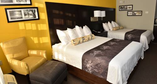 Imagen de la habitación del Hotel Best Western Plus Fairburn Atlanta Southwest. Foto 12