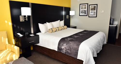 Imagen de la habitación del Hotel Best Western Plus Fairburn Atlanta Southwest. Foto 13