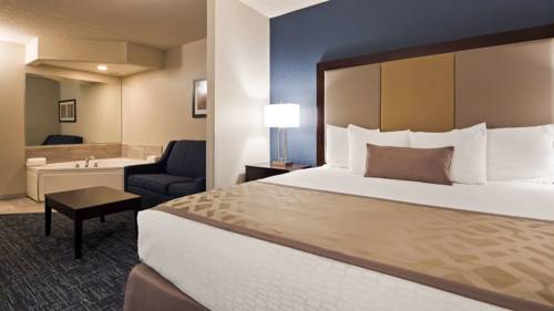 Imagen general del Hotel Best Western Plus Flint Airport Inn & Suites. Foto 1
