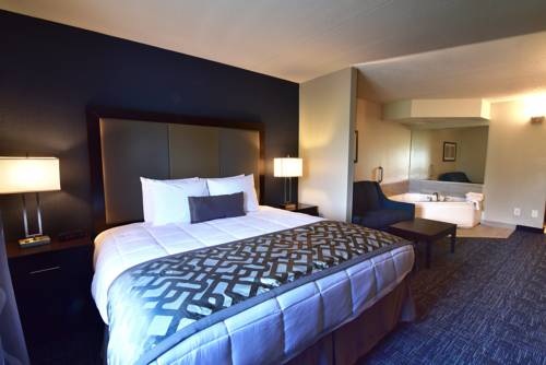 Imagen de la habitación del Hotel Best Western Plus Flint Airport Inn & Suites. Foto 6