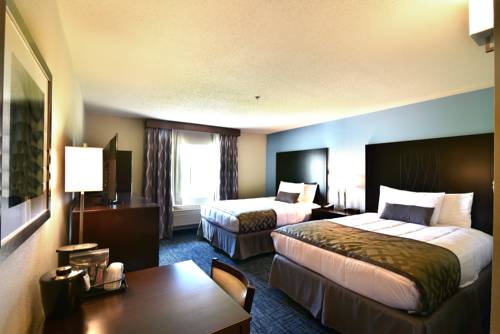 Imagen de la habitación del Hotel Best Western Plus Flint Airport Inn & Suites. Foto 7