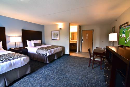 Imagen de la habitación del Hotel Best Western Plus Flint Airport Inn & Suites. Foto 9