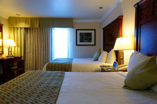 Imagen de la habitación del Hotel Best Western Plus Forest Park Inn. Foto 4