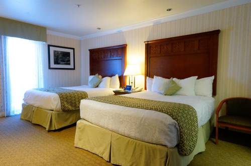 Imagen de la habitación del Hotel Best Western Plus Forest Park Inn. Foto 6