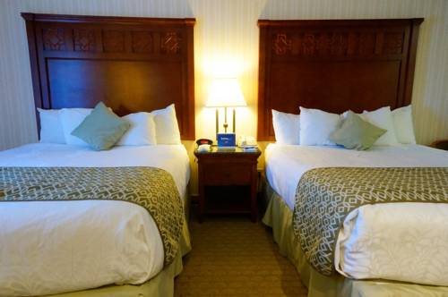 Imagen de la habitación del Hotel Best Western Plus Forest Park Inn. Foto 7
