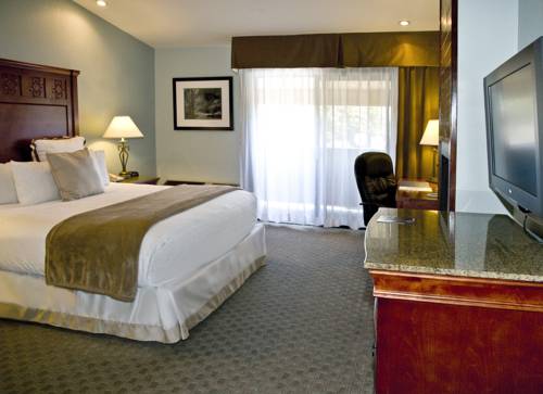Imagen de la habitación del Hotel Best Western Plus Forest Park Inn. Foto 11