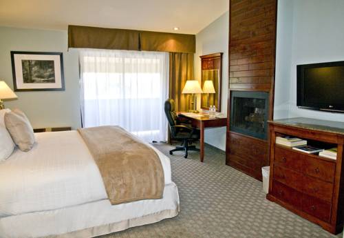 Imagen de la habitación del Hotel Best Western Plus Forest Park Inn. Foto 12