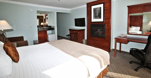 Imagen de la habitación del Hotel Best Western Plus Forest Park Inn. Foto 13
