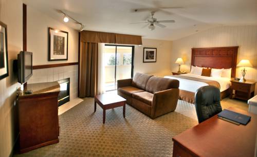 Imagen de la habitación del Hotel Best Western Plus Forest Park Inn. Foto 14