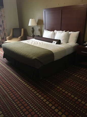 Imagen de la habitación del Hotel Best Western Plus Gadsden and Suites. Foto 8