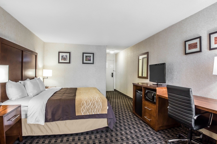 Imagen de la habitación del Hotel Best Western Plus Greenville I-385 Inn and Suites. Foto 7