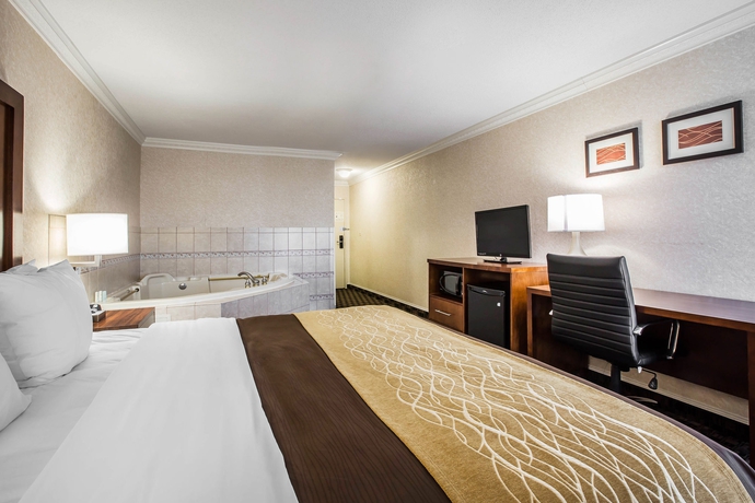 Imagen de la habitación del Hotel Best Western Plus Greenville I-385 Inn and Suites. Foto 8