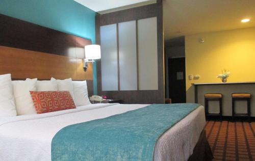 Imagen de la habitación del Hotel Best Western Plus Harrisburg Mechanicsburg. Foto 8