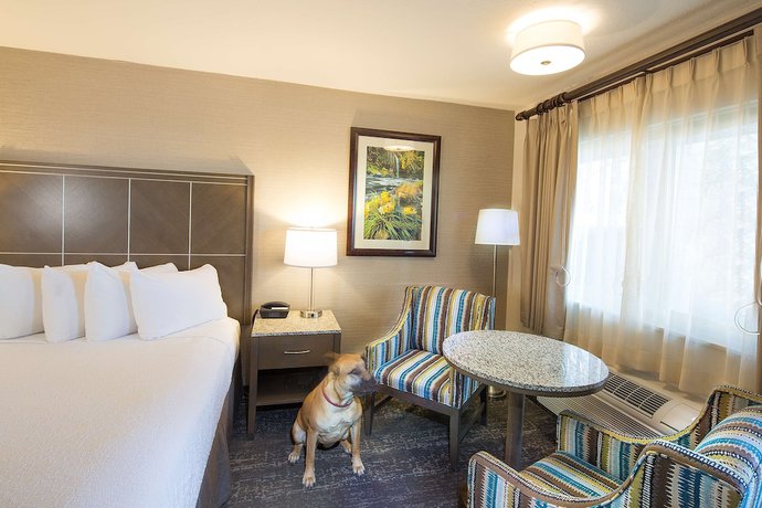 Imagen de la habitación del Hotel Best Western Plus Hilltop Inn. Foto 10