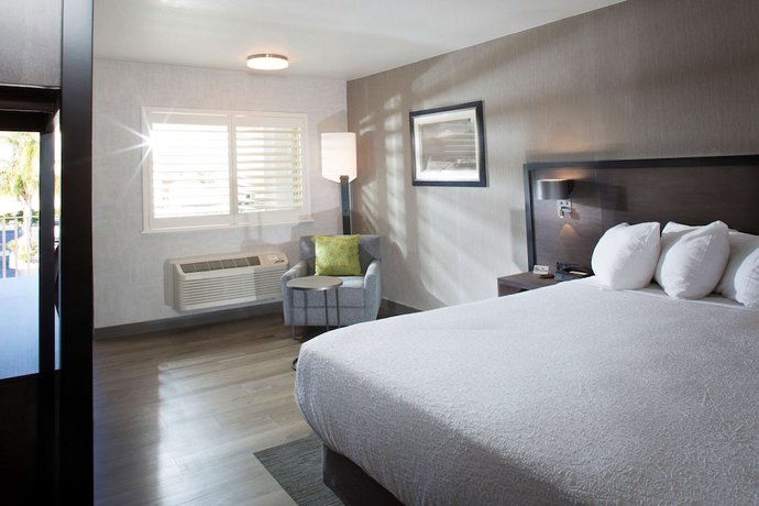 Imagen de la habitación del Hotel Best Western Plus Hilltop Inn. Foto 16