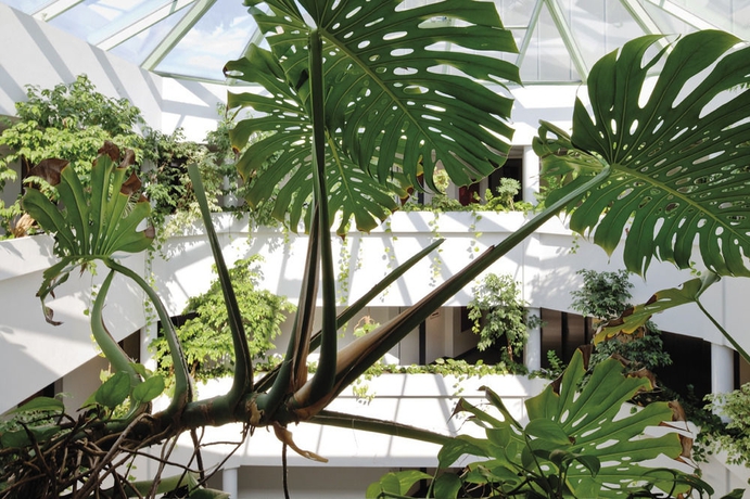 Imagen de la habitación del Hotel Best Western Plus Kassel. Foto 4