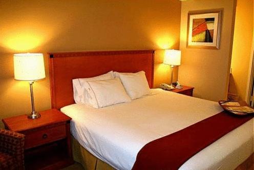 Imagen de la habitación del Hotel Best Western Plus Kingsland. Foto 5