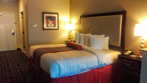 Imagen de la habitación del Hotel Best Western Plus Laredo Inn & Suites. Foto 6