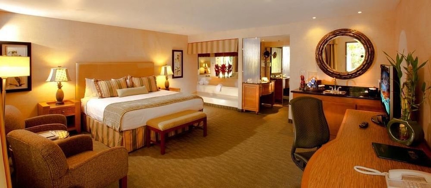 Imagen de la habitación del Hotel Best Western Plus Las Brisas. Foto 10