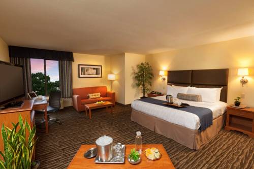 Imagen de la habitación del Hotel Best Western Plus Lewisville Flower Mound. Foto 4