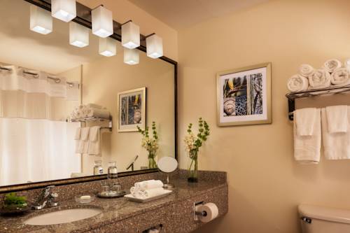 Imagen de la habitación del Hotel Best Western Plus Lewisville Flower Mound. Foto 8