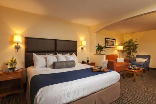 Imagen de la habitación del Hotel Best Western Plus Lewisville Flower Mound. Foto 11