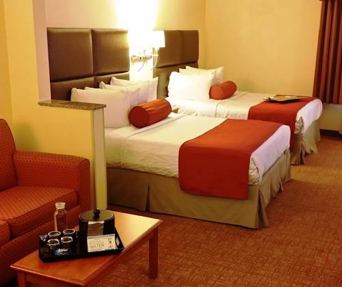 Imagen de la habitación del Hotel Best Western Plus Lewisville Flower Mound. Foto 13