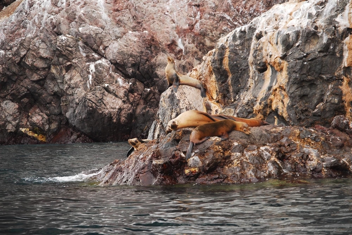 Imagen de los exteriores del Hotel Best Western Plus Los Mochis. Foto 12