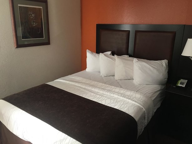 Imagen de la habitación del Hotel Best Western Plus Lubbock Windsor Inn. Foto 10