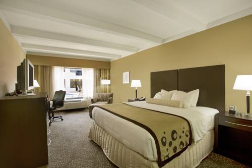 Imagen de la habitación del Hotel Best Western Plus Madison-huntsville. Foto 10