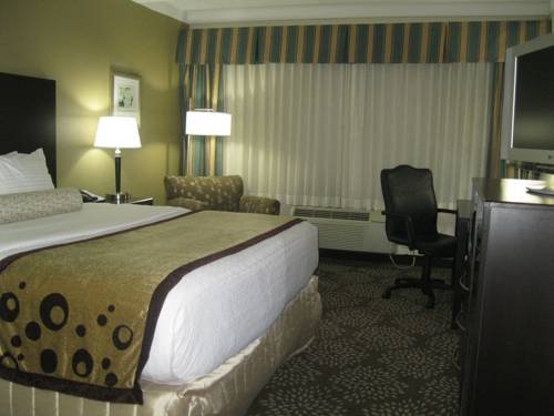 Imagen de la habitación del Hotel Best Western Plus Madison-huntsville. Foto 15