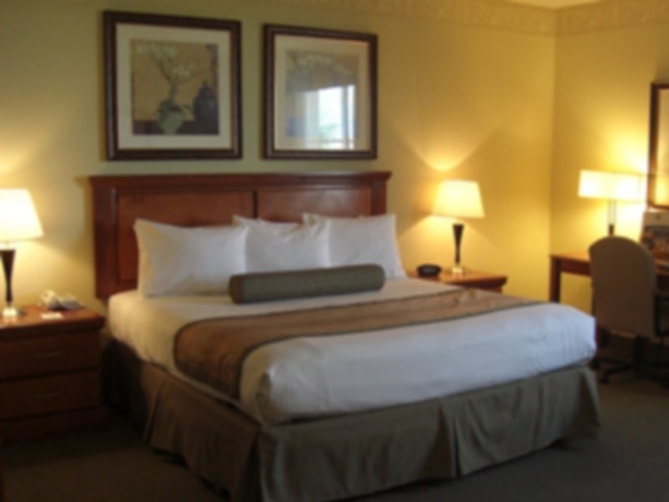 Imagen de la habitación del Hotel Best Western Plus Miami-Doral/Dolphin Mall. Foto 4