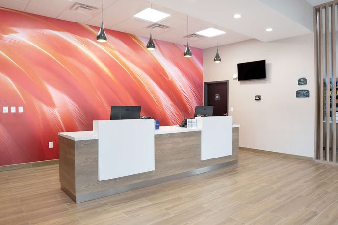 Imagen de los interiores del Hotel Best Western Plus Mobile Inn and Suites. Foto 17