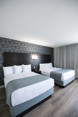 Imagen de la habitación del Hotel Best Western Plus Montreal East. Foto 10