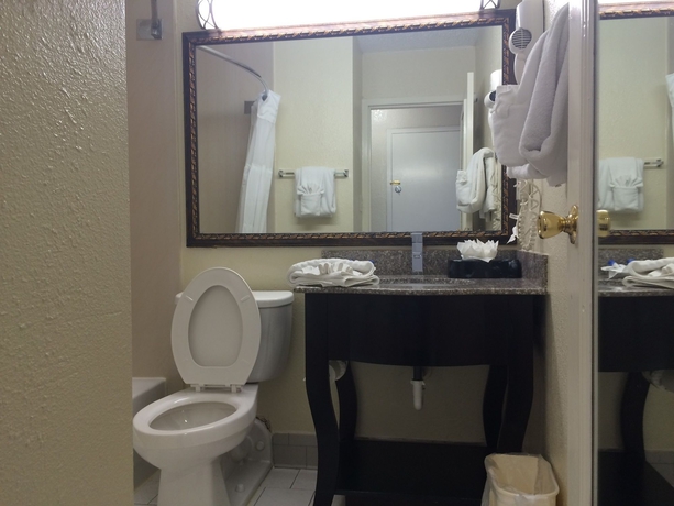 Imagen de la habitación del Hotel Best Western Plus Music Row. Foto 11