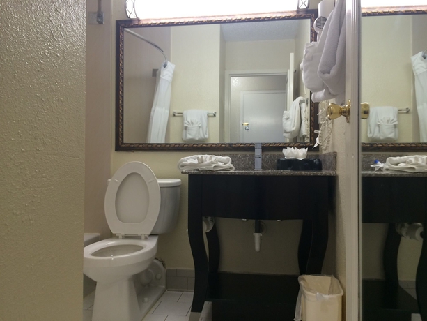 Imagen de la habitación del Hotel Best Western Plus Music Row. Foto 12