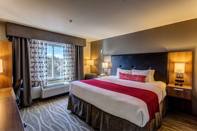 Imagen de la habitación del Hotel Best Western Plus Nashville Airport Hotel. Foto 3