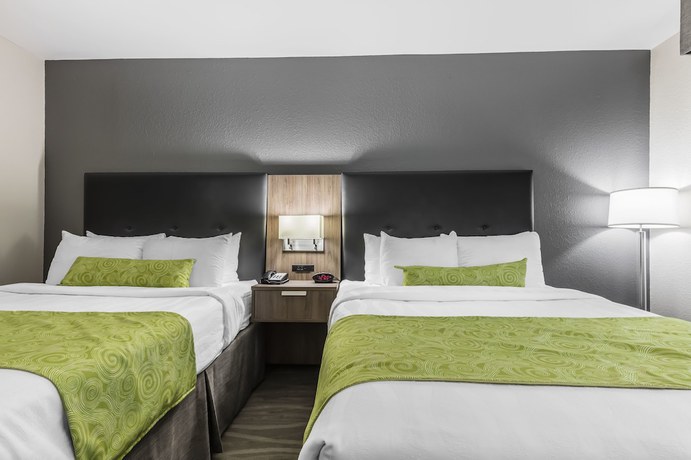 Imagen de la habitación del Hotel Best Western Plus Nashville Airport Hotel. Foto 4