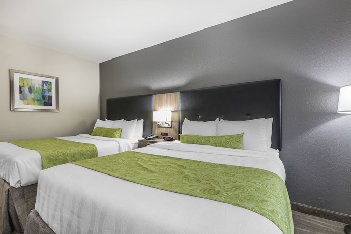 Imagen de la habitación del Hotel Best Western Plus Nashville Airport Hotel. Foto 11
