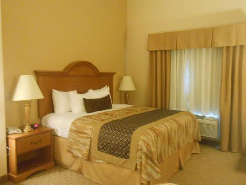 Imagen de la habitación del Hotel Best Western Plus New Caney Inn and Suites. Foto 7