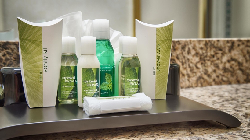 Imagen de la habitación del Hotel Best Western Plus New Englander. Foto 4