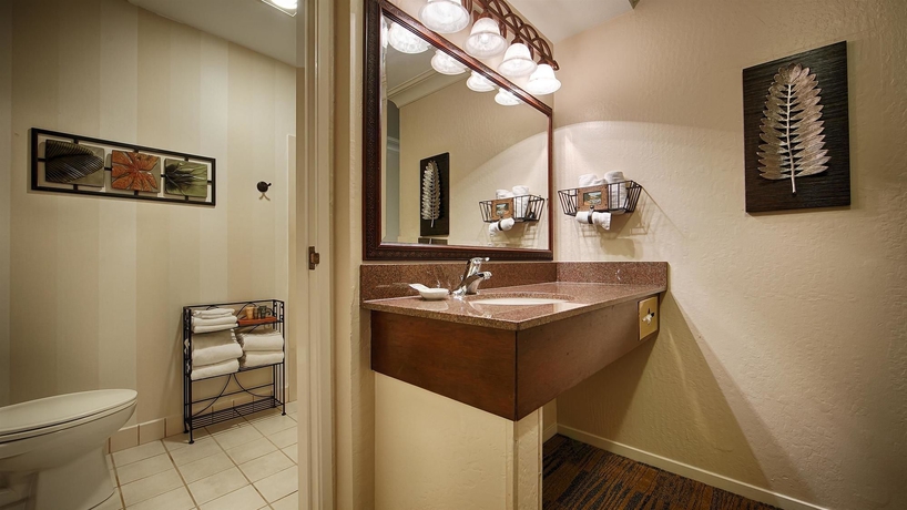 Imagen de la habitación del Hotel Best Western Plus Novato Oaks Inn. Foto 7