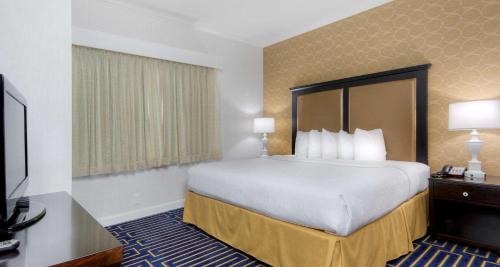 Imagen de la habitación del Hotel Best Western Plus Palm Court Hotel. Foto 6