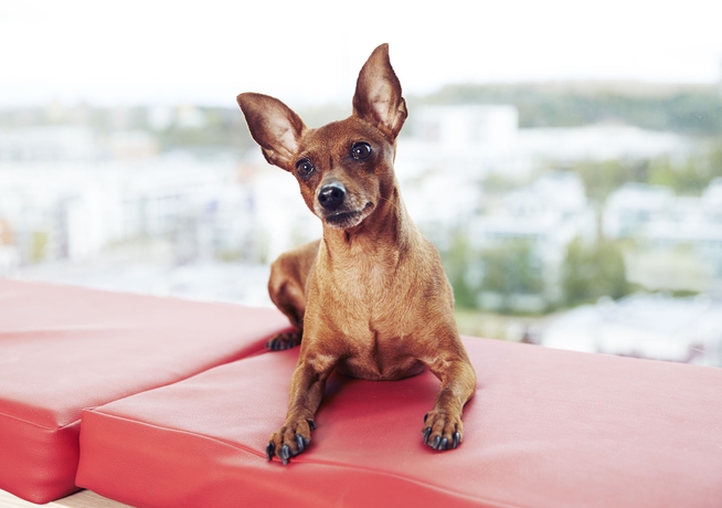 Imagen de la habitación del Hotel Best Western Plus Park City Hammarby Sjöstad. Foto 9