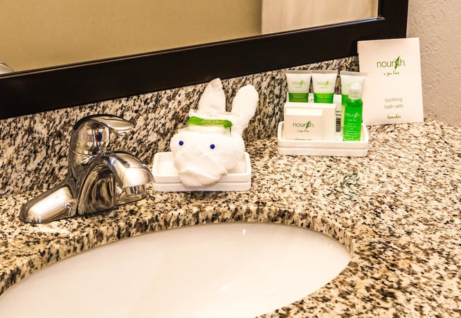 Imagen de la habitación del Hotel Best Western Plus Pembina Inn and Suites. Foto 2