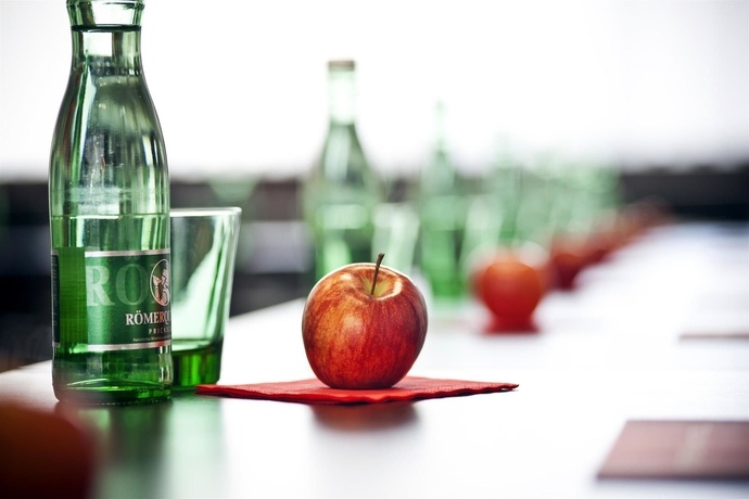 Imagen de los interiores del Hotel Best Western Plus Plaza Graz. Foto 12