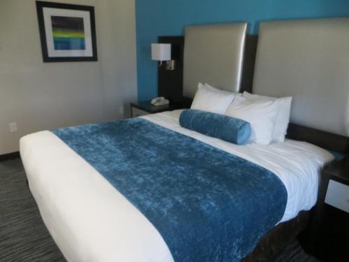 Imagen de la habitación del Hotel Best Western Plus Pleasanton. Foto 6